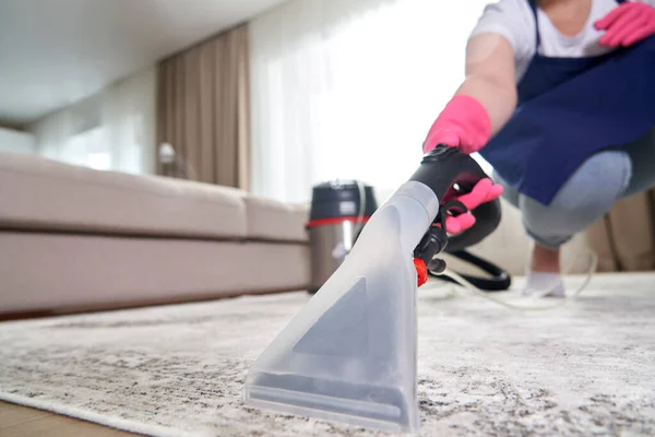 Carpet Cleaning Services