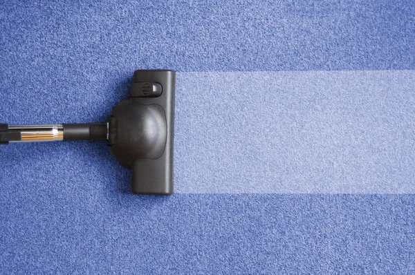 Stain & Odor Removal